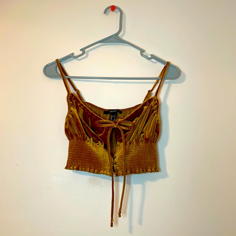 Gold Velvet Top